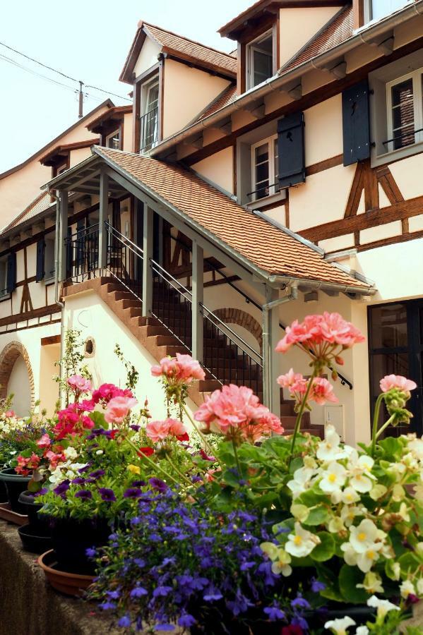 La Cour Sainte Agnes Apartment Obernai Ngoại thất bức ảnh