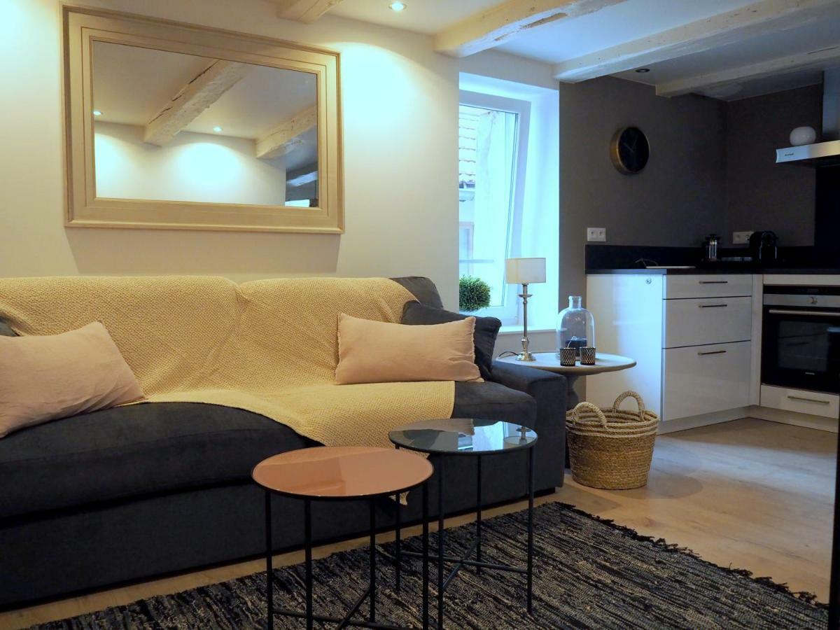La Cour Sainte Agnes Apartment Obernai Ngoại thất bức ảnh